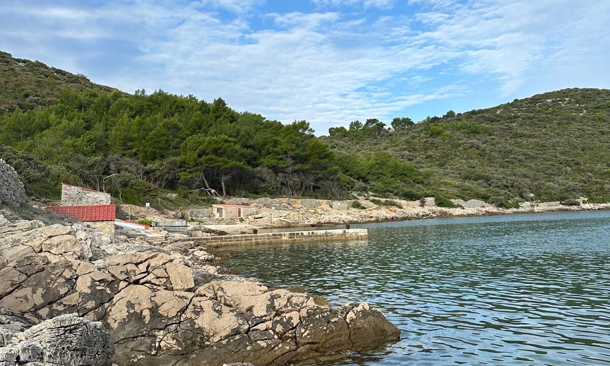 820f13c0-e7a7-4d07-9743-6cff7af35852