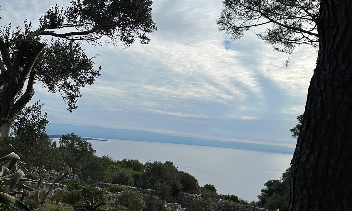 c6324ecf-718c-4c7b-ab18-94de2b54ab35