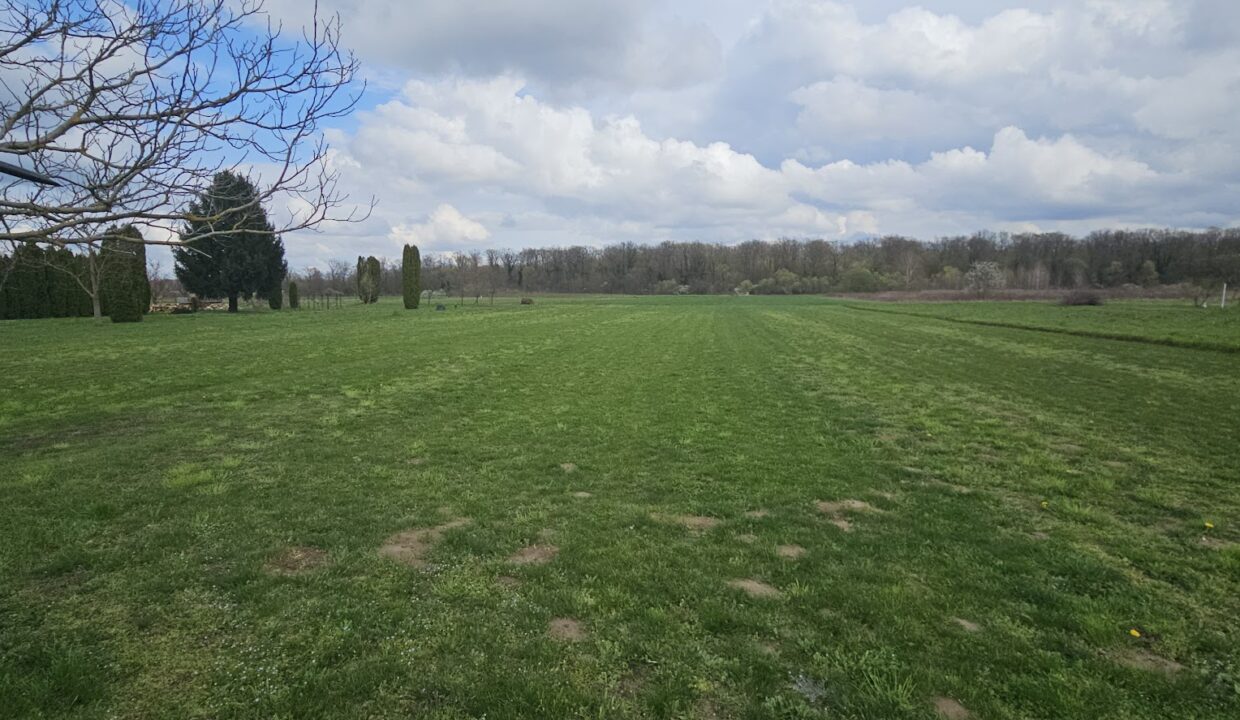 04e3239d-6d46-477a-8d2e-367aa0eb9493