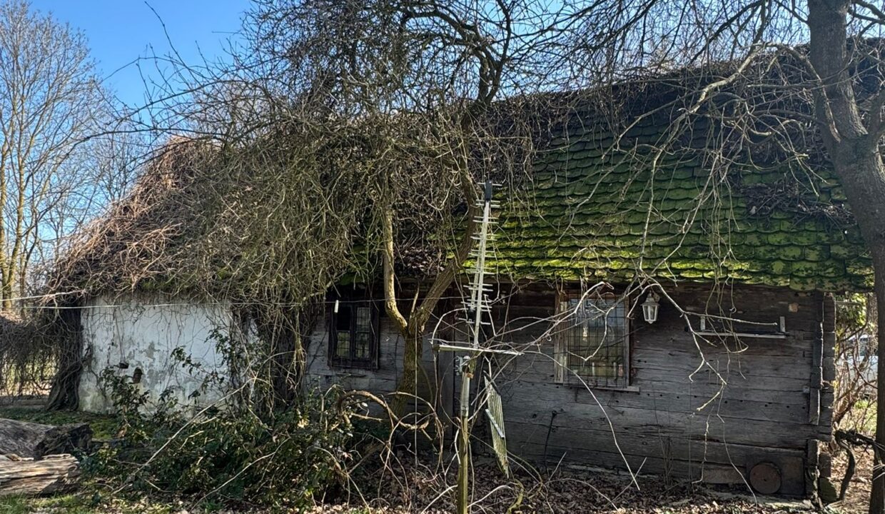 0f0a6e26-205f-46b5-bb02-c1a00121a640