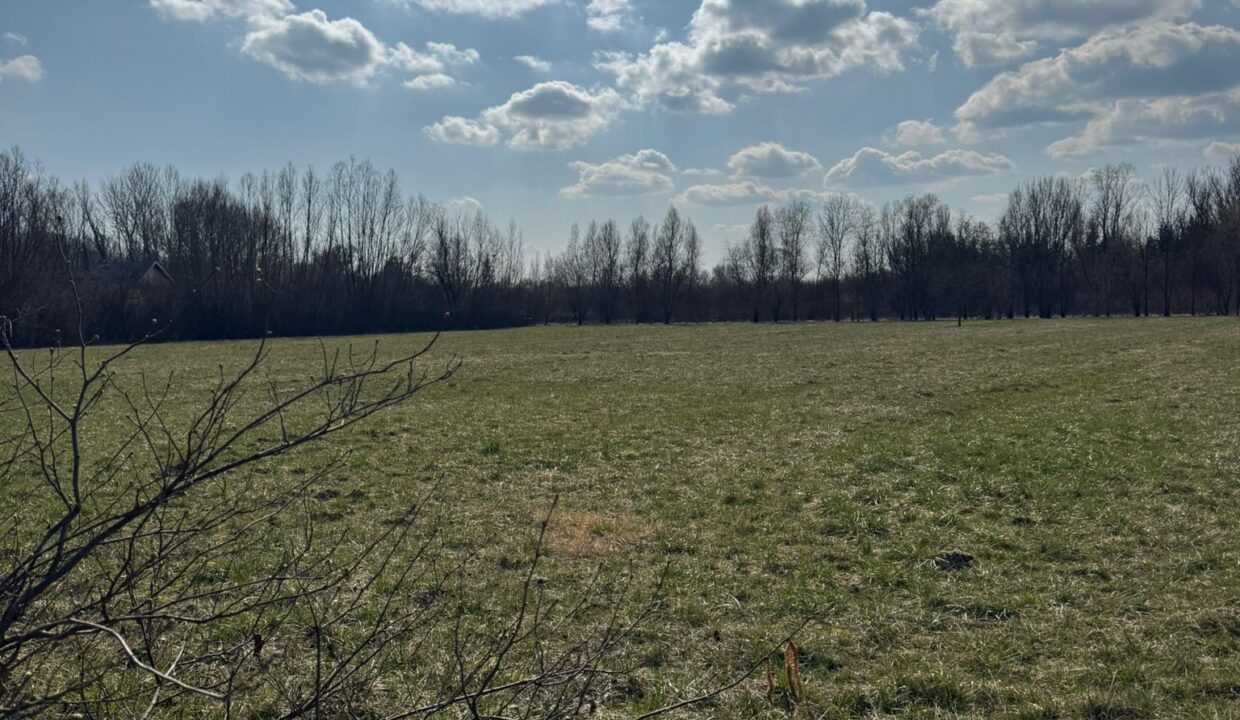 1c23b7d2-46a3-44b9-a663-e86ef3ea8d97