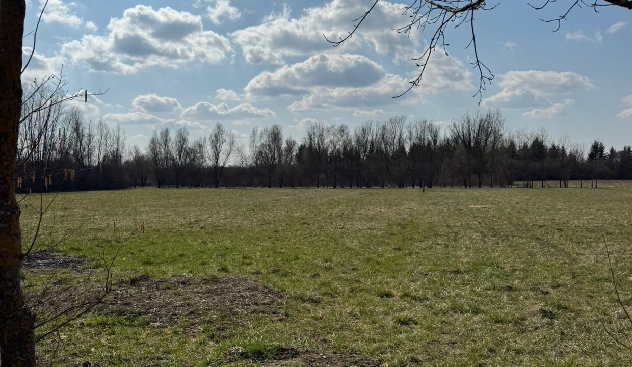 4caa394f-f576-41aa-a2dd-fd3bbf68ae51